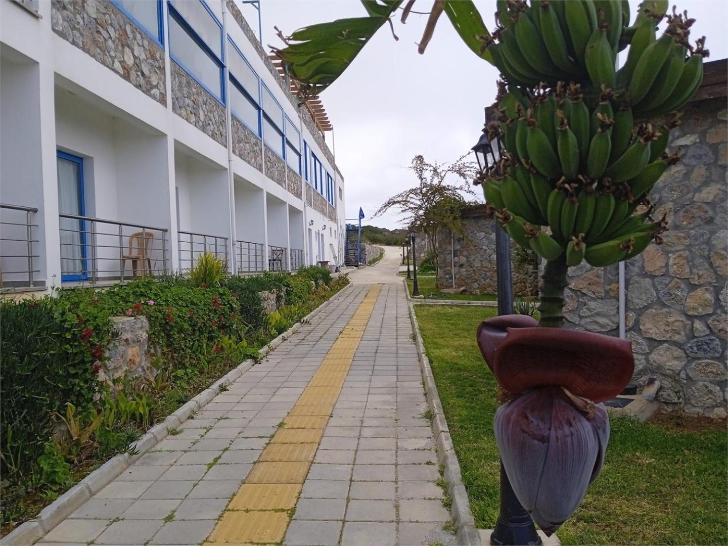Ardic Agaci Holiday Village 法马古斯塔 外观 照片