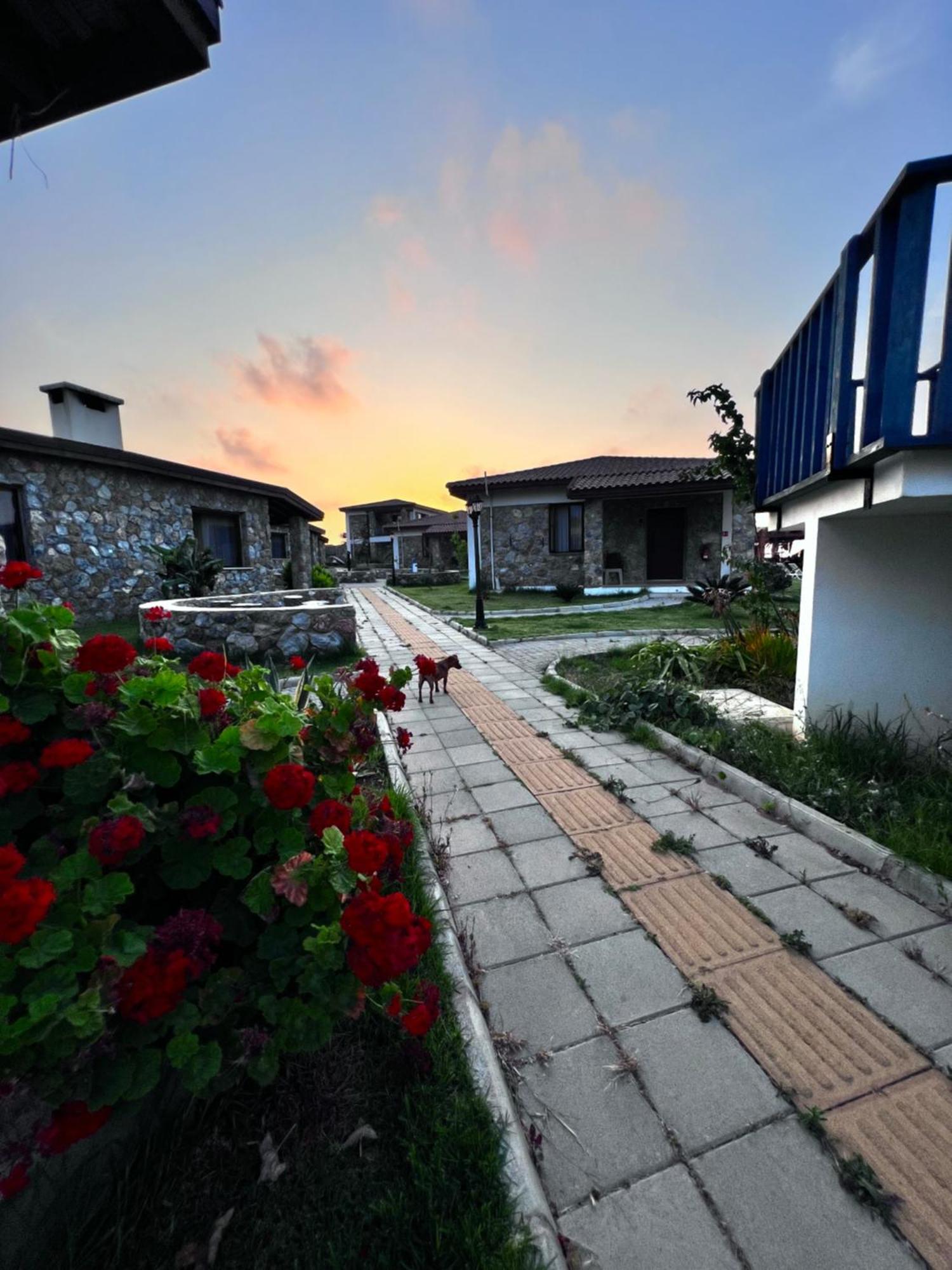 Ardic Agaci Holiday Village 法马古斯塔 外观 照片