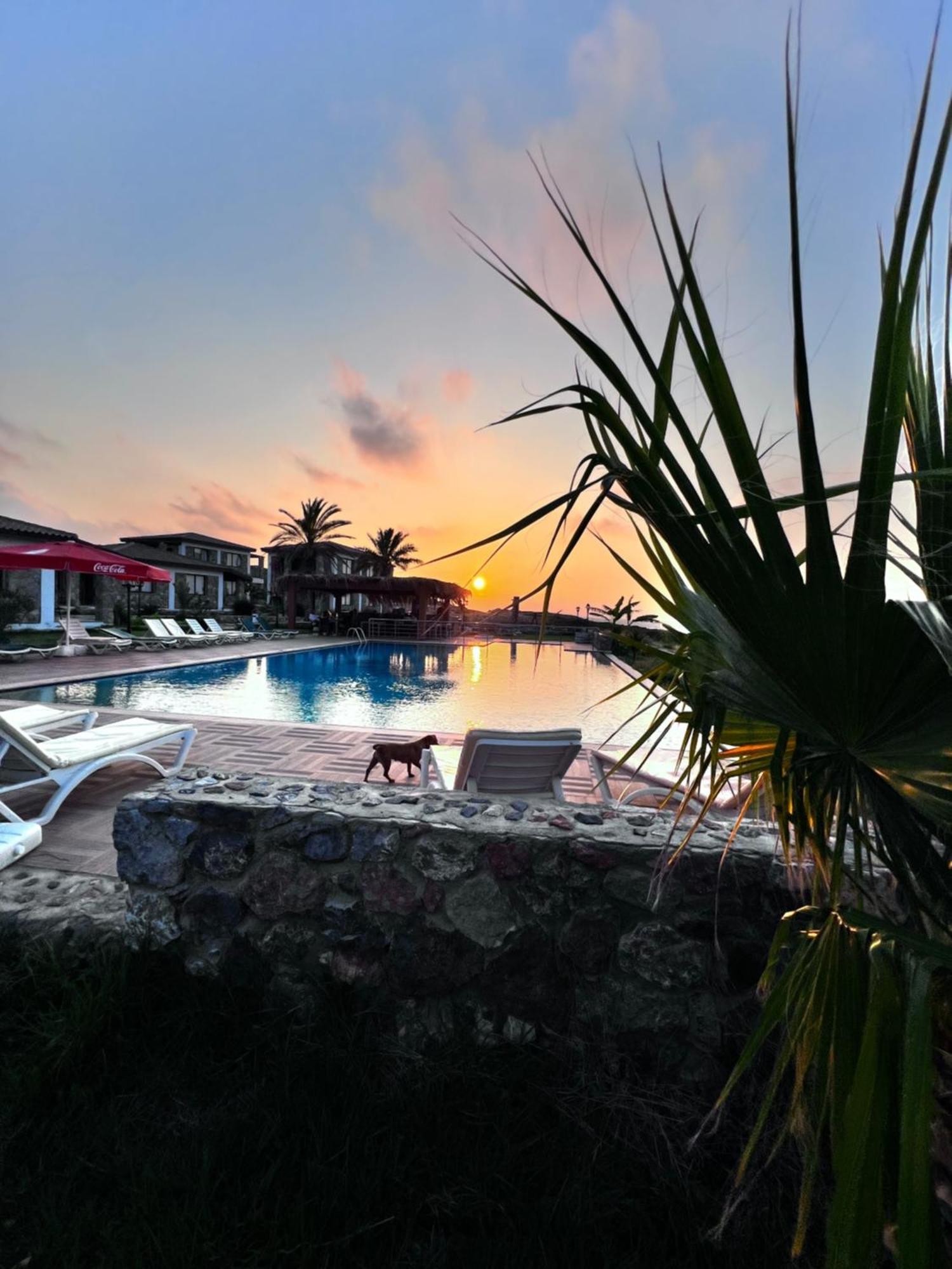 Ardic Agaci Holiday Village 法马古斯塔 外观 照片